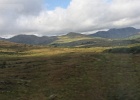 Parc National de Killarney (44)